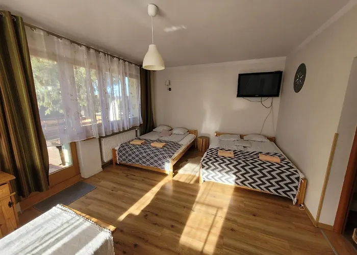 Проживание в семье Strumyk