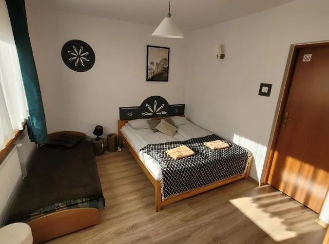 Проживание в семье Strumyk *